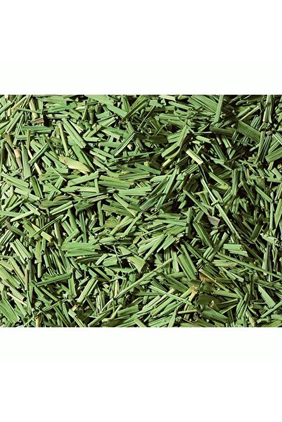 Kaffa Ceai plante Lemon -grass