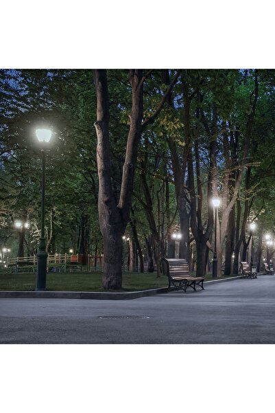 NO BRAND Bec LED E27 30W Lumină Neagră Neutru 4000K 4600Lm Lumină Albă Lăptoasă