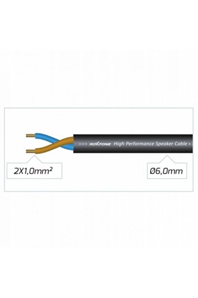 NO BRAND Cablu Roxtone 10m 2 x Jack 6.3mm SSJJ210L10