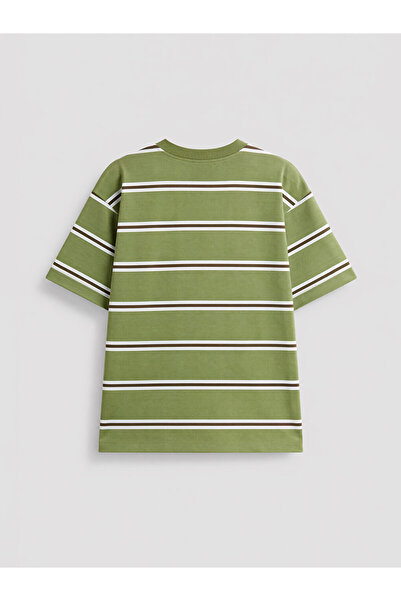 LC Waikiki Crew Neck Striped Boy T-Shirt