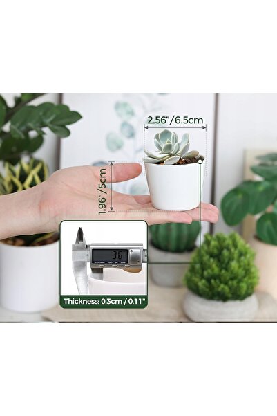 NO BRAND Ghiveci ceramic alb T4U 5 cm x 6,5 cm x 5 cm pentru cactuși și plant...