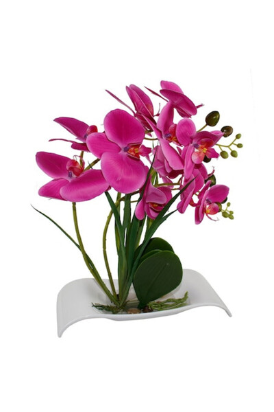 velve Orhidee cu aspect in ghiveci alb tip barcuta, Fucsia