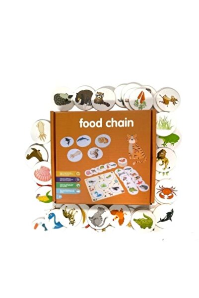 OEM Jucării educative Montessori: Joc de explorare a lanțului alimentar
