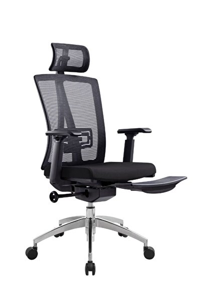Fatio Modern Ergonomic Office Chair with Adjustable Headrest, 3D Armrests & F...