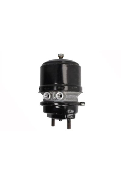 WABCO Camera de Frana Spate (24/30 Cursa: 64mm/64mm M22x1,5mm Disc) Scania