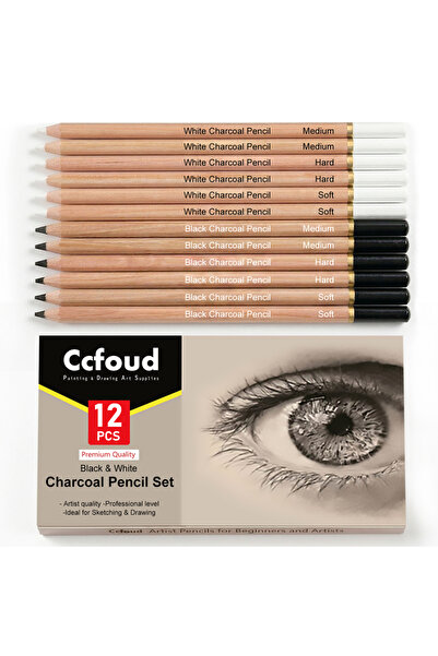 Choice1 12 pcs Pro Charcoal Pencils Drawing Set,6/10/12/20 PCS,Black/White Ch...