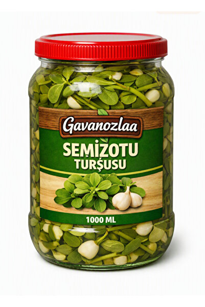 GAVANOZLAA SEMİZOTU TURŞUSU 1000 ml