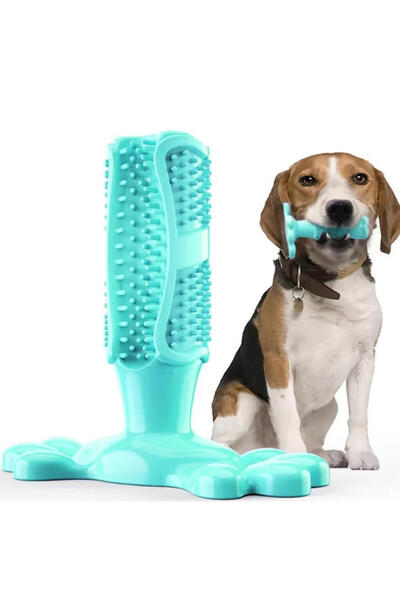 Choice3 M Sky blue Pet Dog Cactus Interactive Chew Toys For Small Large Dogs ...