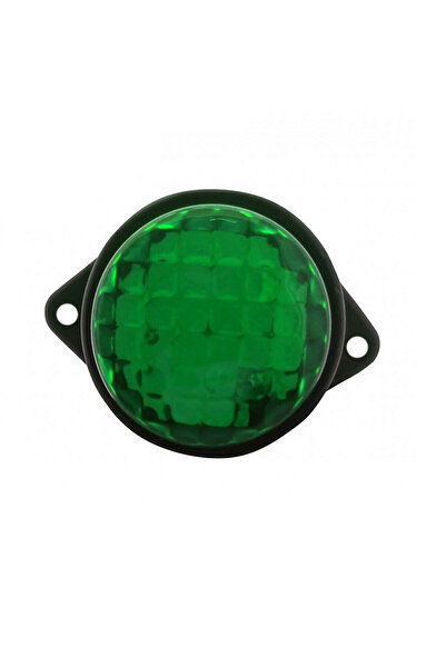 OEM Πλευρικό φως όγκου LED 12/24V για αυτοκίνητα και φορτηγά 8 SMD πράσινο -