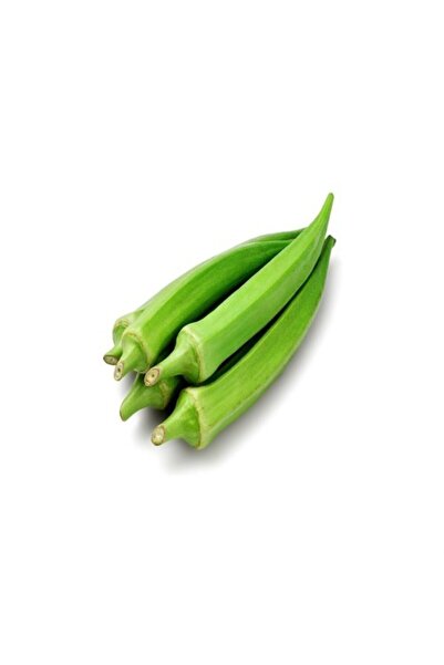 Garden Σπόρος βελανιδιάς