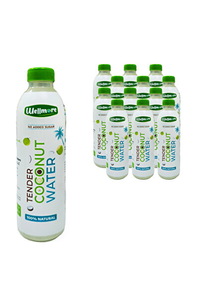 Wellmore Tender Coconut Water 1ltr Pack of 12