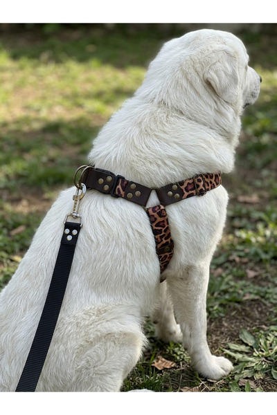 balkonda Dog Chest Harness Giant Breed Adjustable 3.5 cm Width Column Cord & ...