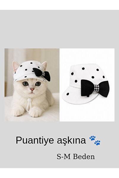 Genel Markalar Kedi & Köpek şapkası (Puantiye aşkına 🐾)