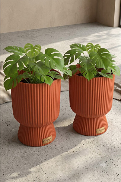 TEMMUZ HOME 2 Adet 5 Litre Büyük Boy Çizgili Ayaklı Saksı - Lotus 2 No (Delik...