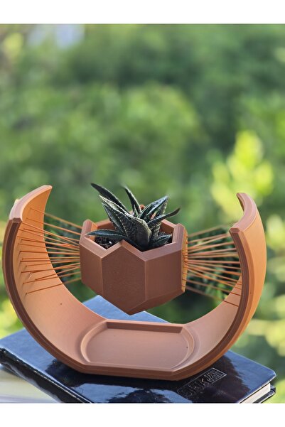 Genel Markalar Manyetik Görünümlü Yüzen Saksı | 3D Baskı Askılı Bonsai ve Suk...