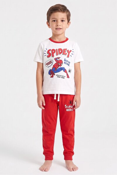 Marvel Kids Boy 2 Piece Spiderman Sleepwear Top And Pants Set, Multicolor