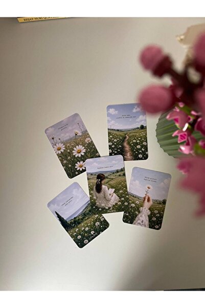 tinystoriestr Motivasyon Motto Kart Seti Papatya Temalı 5 Adet / Kartpostal