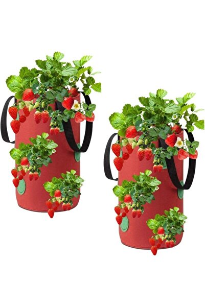 STARSTAR (20 x 35 cm) (Red) Two hanging strawberry planting bags. Made of non...