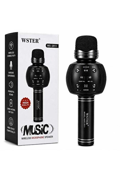 Wster WS-2911 Wireless Microphone Speaker
