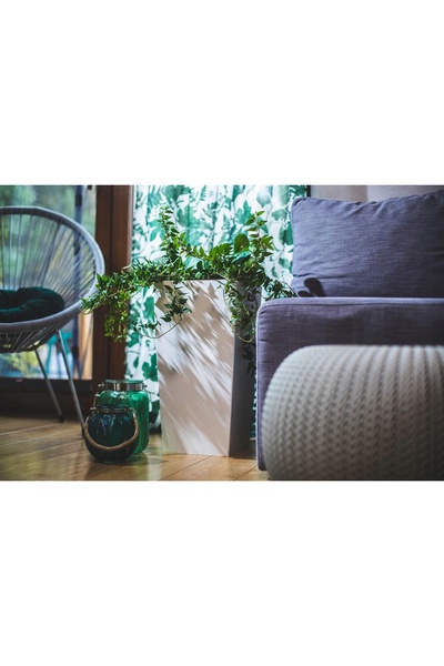 Deco4Home Jardinieră albă pentru flori, pentru terase și balcoane, înălțime 4...