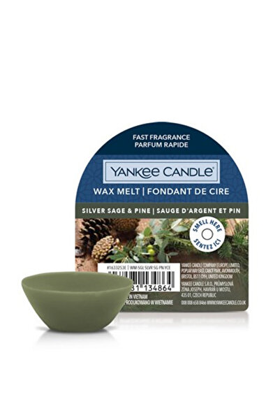 Yankee Candle Αρωματικό κερί με άρωμα ασημιού, φασκόμηλου και πεύκου, 22 γρ.