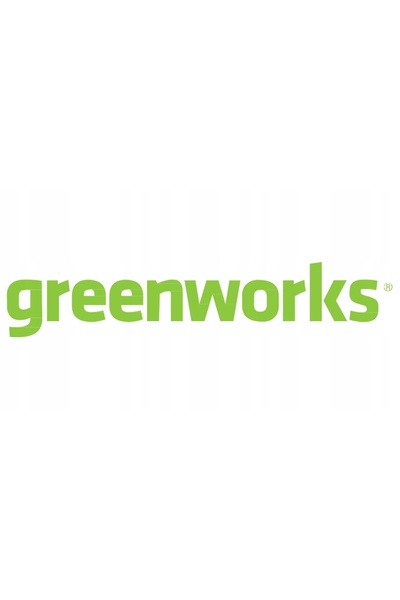 NO BRAND Încărcător Greenworks 60V 2A G60UC