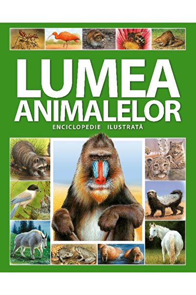 Kreativ Lumea animalelor. Enciclopedie ilustrata