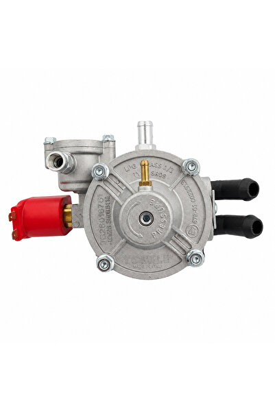 ATİKER sr09 beyin (sıralı)