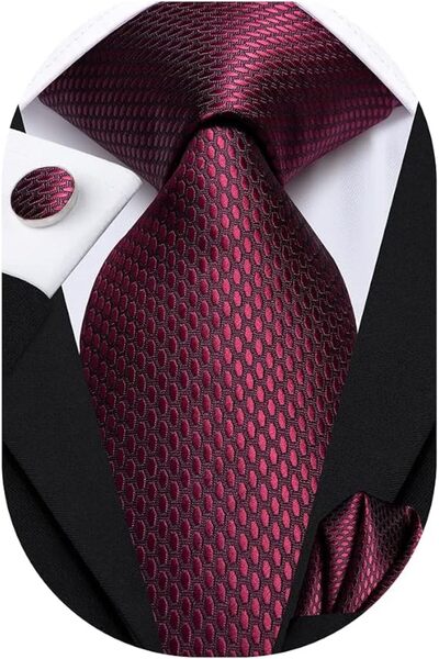Dubulle Mens Paisely Silk Tie for Men Necktie and Pocket Square Set