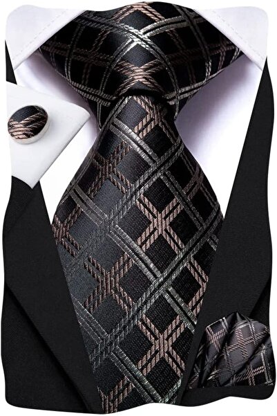 Dubulle Mens Paisely Silk Tie for Men Necktie and Pocket Square Set