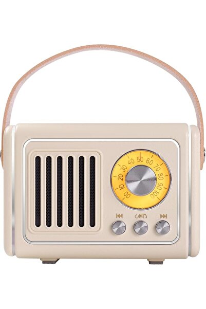 AZONEE Retro Bluetooth Speaker, Vintage Room Decor, FM Radio Portable Mini Wi...