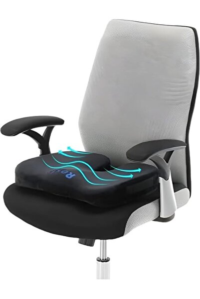 GENERAL Lumbar Support Seat Cushion - Ergonomic Memory Foam Back Cushion for ...