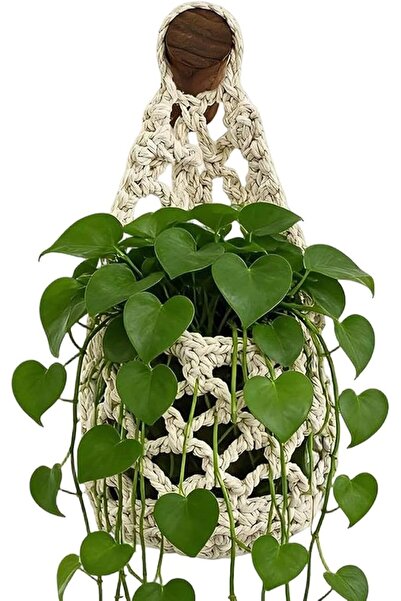 Generic Plant Hanger Cotton Rope Woven Macrame Space Saving | Plant Pot Hange...