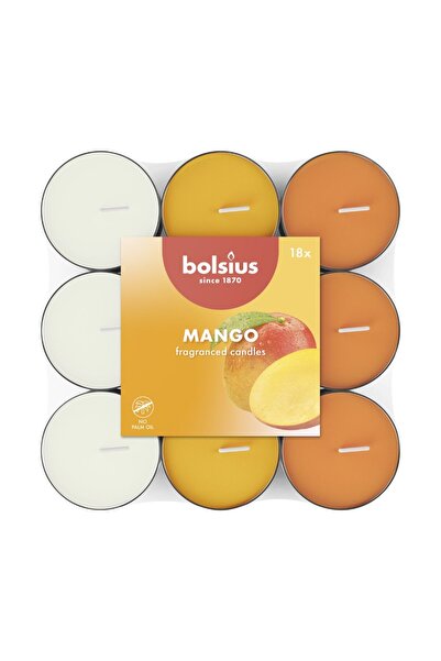 Bolsius Set 2 x 18 Lumanari Pastila in Trei Culori, Mango, Timp de Ardere 3.5...