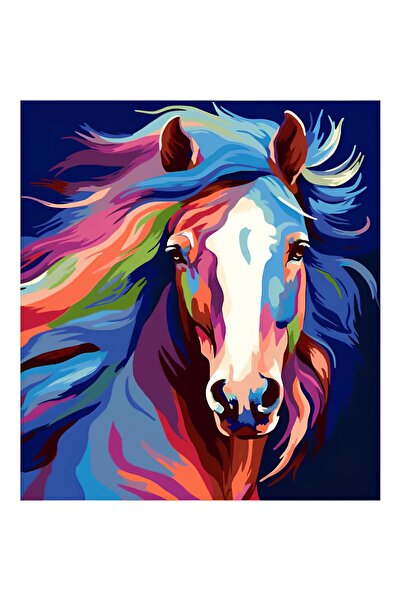 NEVERMORE Set pictura pe numere - panza pe rama lemn 40x50 cm, H1285, NEVERMO...