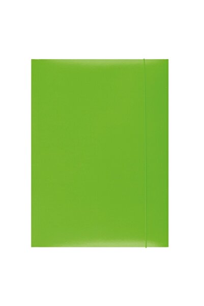 NO BRAND Dosar cu elastic A4 din carton lacuit VERDE Barbara x 25 BUCĂȚI