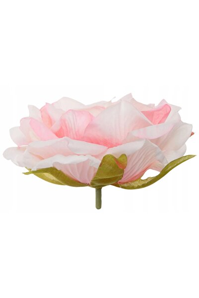 NO BRAND 12X CREMĂ DE FAȚĂ CU TRANDAFIR ROSE WORKING HEAD