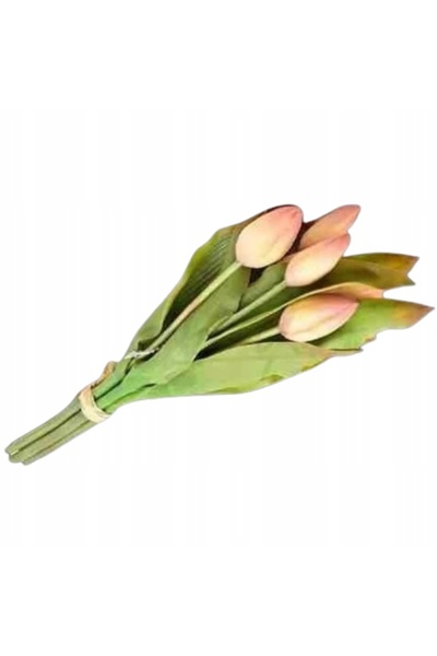 NO BRAND TULIPANY GUMO FLORI DE SILICON FLORI DE LALELE CU EFEKT DE FLORI VIV...