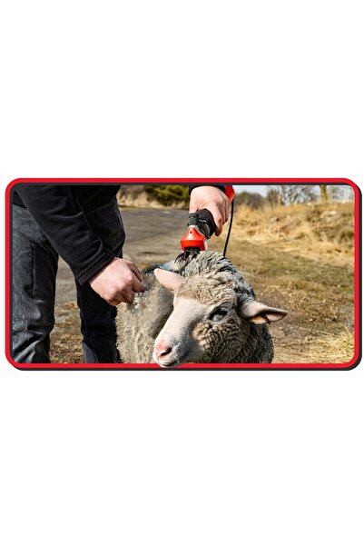 NO BRAND Mașină de tuns electrică puternică pentru oi, vaci și bovine
