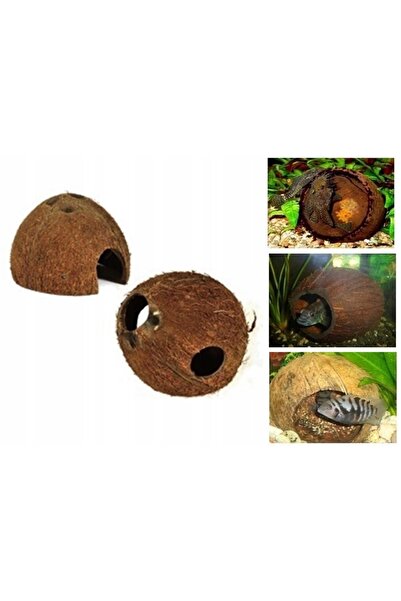 NO BRAND NUCĂ DE COCOS, coajă 1/1, periată, 3 buc.