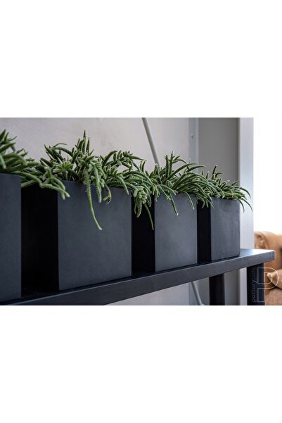 NO BRAND Ghiveci mic pătrat, capac de piatră, negru mat, pătrat, FLEUR 15x15