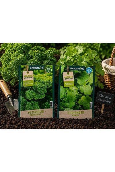 gardenline Σετ 2 φακελίσκων αρωματικών σπόρων – Σγουρό άνηθο + Κόλιανδρος