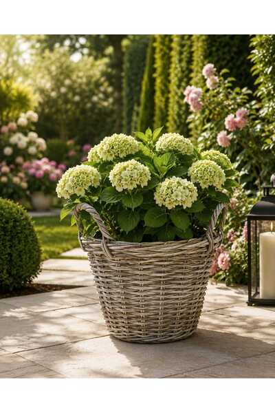 Generic Brand Ghiveci decorativ împletit cu mânere