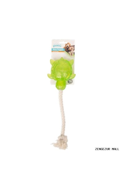 Pawise Zengezur Happy Life Toy (162013) Stringed Turtle