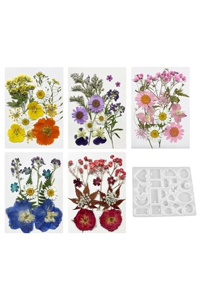 Generic Brand Dried Pressed Flowers for Resin, 60PCS Real Natural Pressed Flo...
