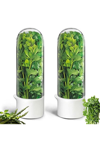 Generic Herb Saver for Refrigerator, Fresh Herbs Lettuce Keeper for Refrigera...