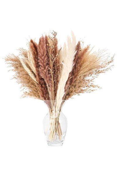Generic Grass Decor, Boho Decor Bouquet, 60Pcs Natural Dried Flowers,Natural ...