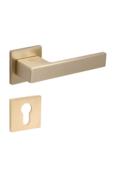 Bussare Mâner cu rozetă - Novo - Welsh Gold - rozetă cilindru PZ