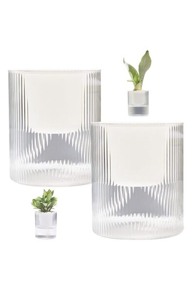 Generic Self Watering Plant Pots 2-Pack, 4 Inch Plastic Planters with Detacha...