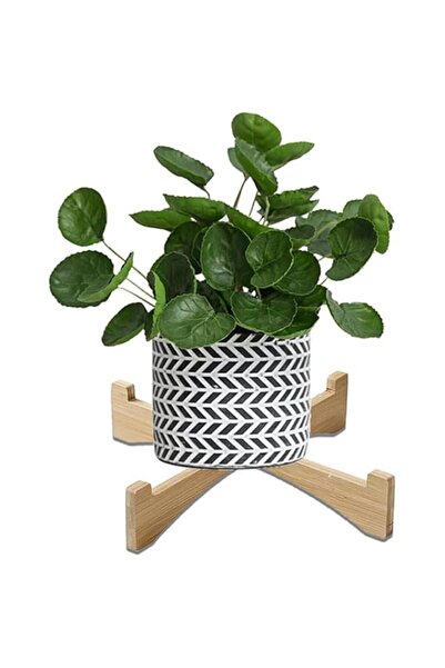 Generic Single Wood Plant Stand Indoor, Mini Wooden Stool Display Stand, Mode...